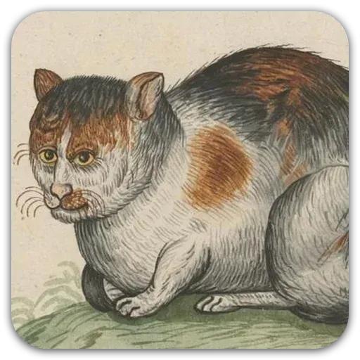 Medieval Cats - Sticker 5