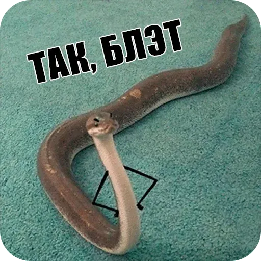 snake - Sticker 4