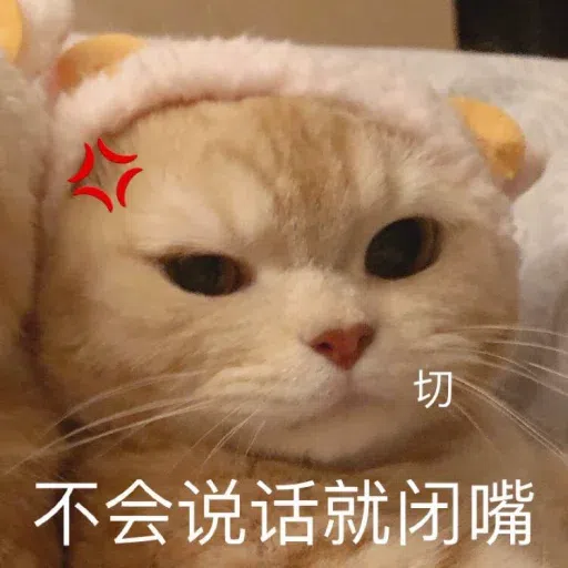 Cat memes - Sticker 8