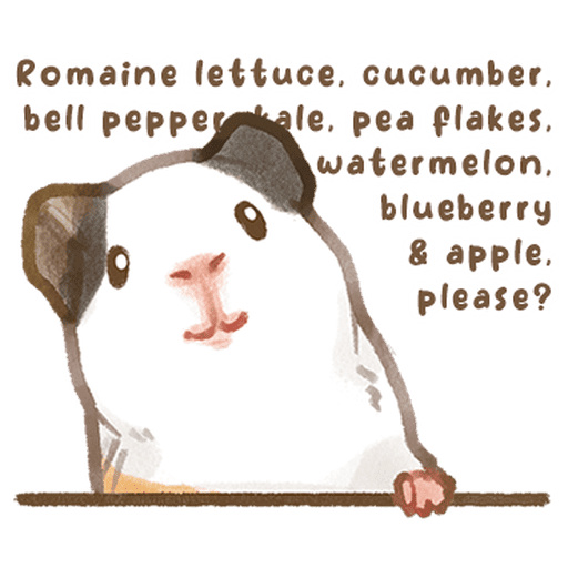 So many guinea pigs V2 - Sticker