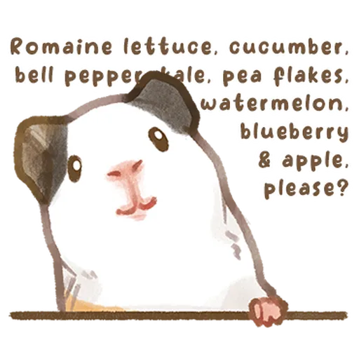 So many guinea pigs V2 - Sticker