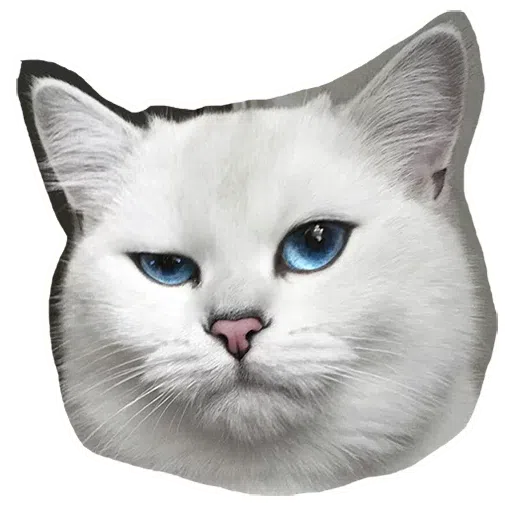 Kittycat - Sticker 5