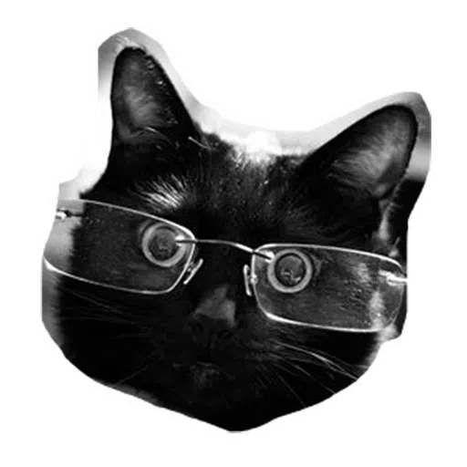 Kittycat - Sticker 3