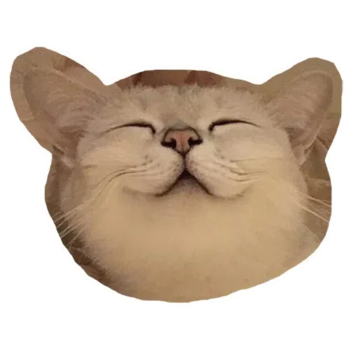 Kittycat - Sticker 8